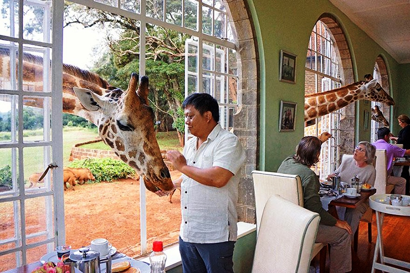 هتل زرافه در کنیا