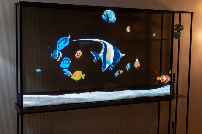 تلویزیون شفاف OLED LG