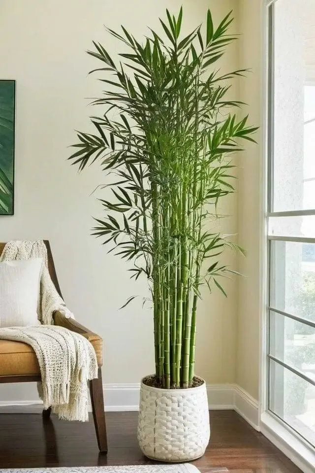 انرژی بامبو در خانه